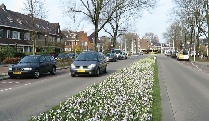 J.M. de Muinck Keizerlaan in 2016. Only one travel lane in each direction.